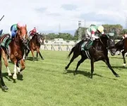 東京競馬