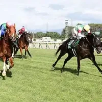 東京競馬