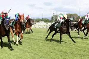 東京競馬