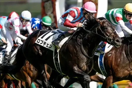 日本ダービーから得たもの【2026/5/31/東京競馬】