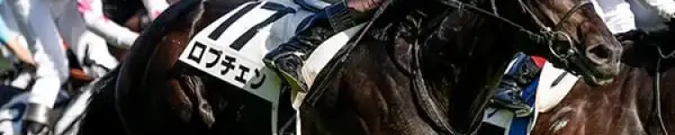 日本ダービーから得たもの【2026/5/31/東京競馬】