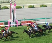 阪神競馬