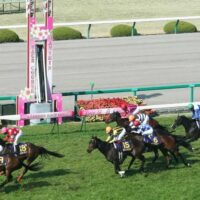 阪神競馬