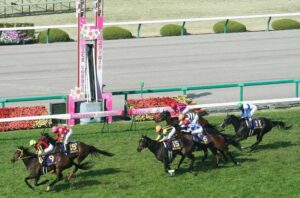 阪神競馬