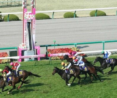 阪神競馬