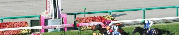 2026年6月14日（日）注目馬☆推薦馬＆参考買い目